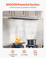 Range Hood Insert, 30 Inch Built-In Kitchen Vent Hood, 800CFM Stainless Steel Stove Hood with Gesture & Touch Control, LED Light, Baffle Filters, 4-Speed Exhaust Fan, Ducted/Ductless Convertible