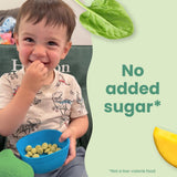 Smoothie Melts - Best Sellers Variety Pack - Baby Snacks Made with Fruits and Vegetables - Healthy Toddler Snacks for Your Kids Lunch Box - Organic Plant Based Yogurt Melts - 6 Packs